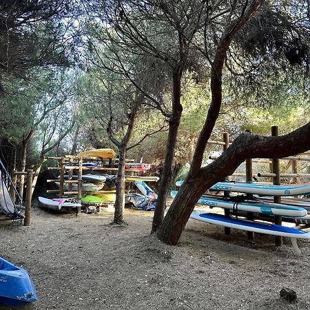 La Badine 5P Plage Piscine Clim Jacuzzi Parc Luxuriant Hyères Zewnętrze zdjęcie