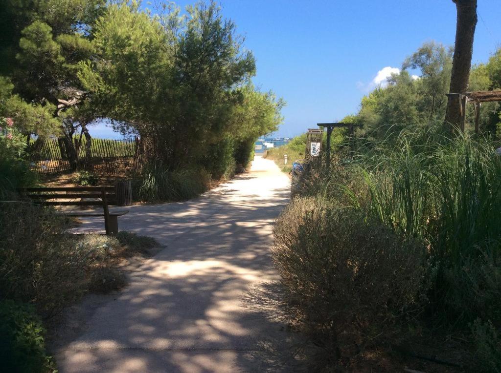 La Badine 5P Plage Piscine Clim Jacuzzi Parc Luxuriant Hyères Zewnętrze zdjęcie